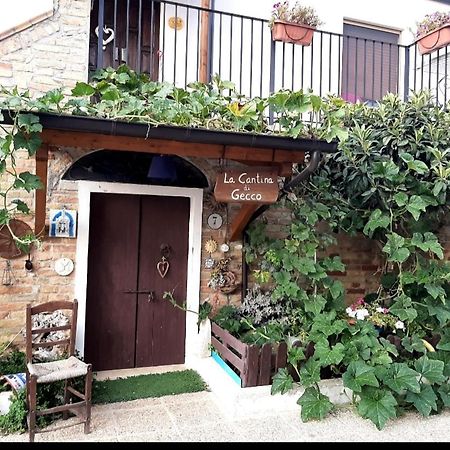 Collecorvino B&B La Casa In Campagna المظهر الخارجي الصورة