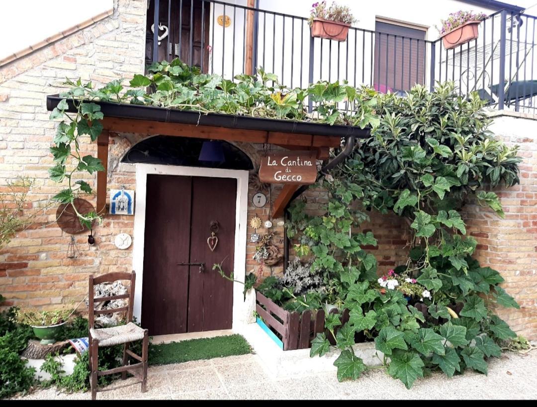 Collecorvino B&B La Casa In Campagna المظهر الخارجي الصورة