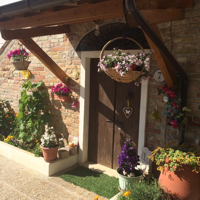 Collecorvino B&B La Casa In Campagna المظهر الخارجي الصورة