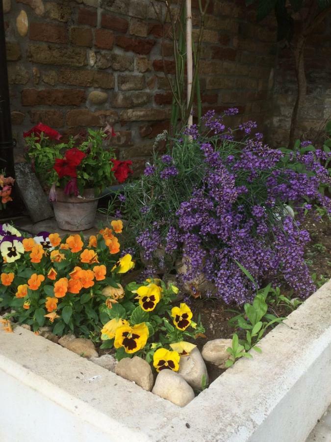 Collecorvino B&B La Casa In Campagna المظهر الخارجي الصورة